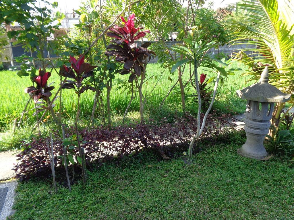 Bening Bungalow อูบุด ภายนอก รูปภาพ