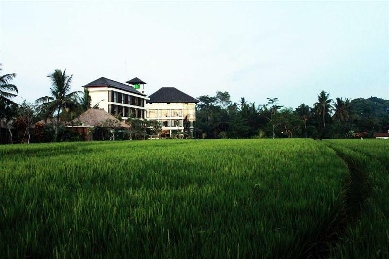 Bening Bungalow อูบุด ภายนอก รูปภาพ