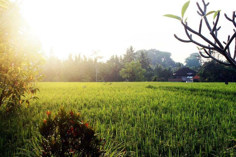 Bening Bungalow อูบุด ภายนอก รูปภาพ