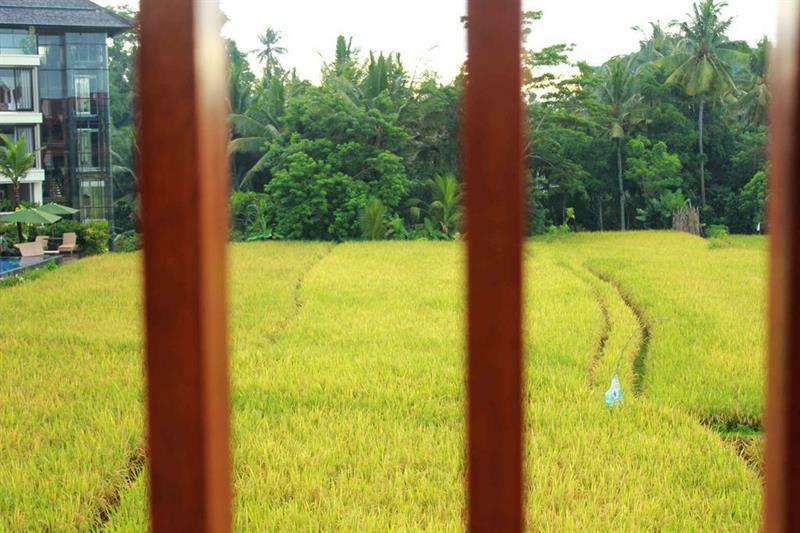 Bening Bungalow อูบุด ภายนอก รูปภาพ